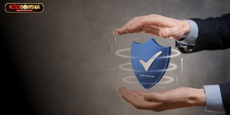 Công khai chính sách & điều khoản