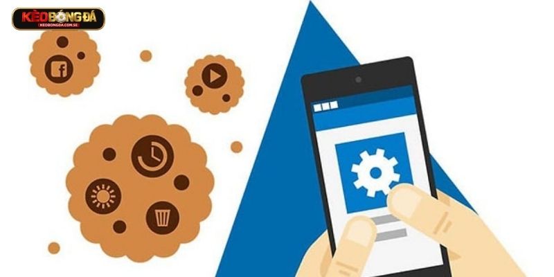 Hệ thống cho phép người dùng tự kiểm soát Cookies Hệ thống cho phép người dùng tự kiểm soát Cookies
