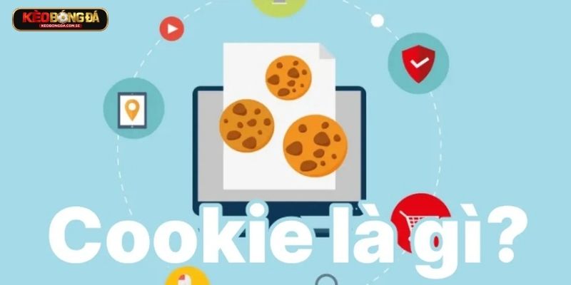 Hiểu đúng về Cookies Hiểu đúng về Cookies
