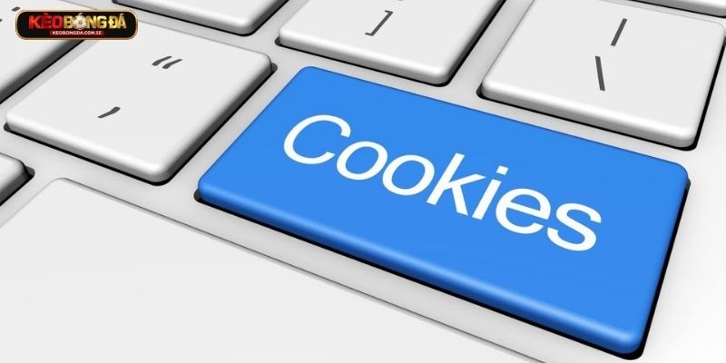 Những quy định quan trọng trong chính sách Cookies Những quy định quan trọng trong chính sách Cookies