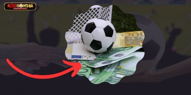 Trang hỗ trợ soi kèo bóng đá Trang hỗ trợ soi kèo bóng đá