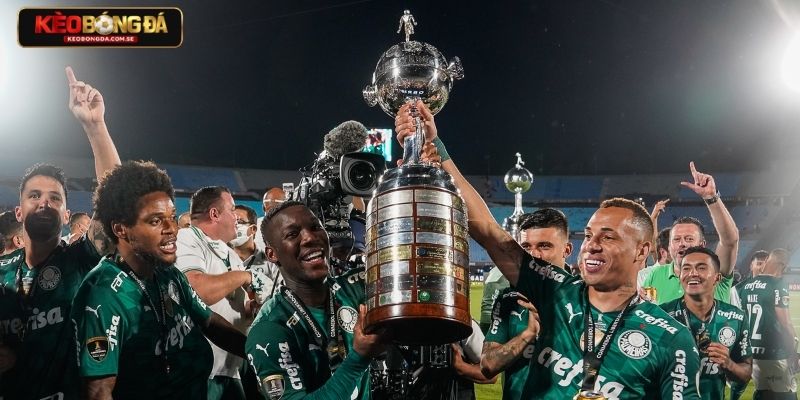 Yếu tố quyết định kèo của giải Libertadores Yếu tố quyết định kèo của giải Libertadores