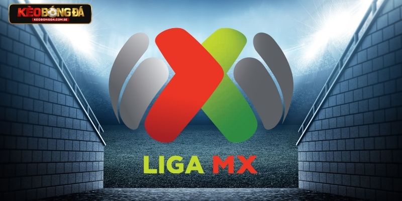 Đặc trưng giải đấu Mexico - Không có sự ổn định dài hơn Đặc trưng giải đấu Mexico - Không có sự ổn định dài hơn