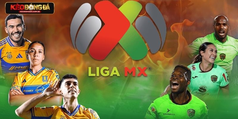 Những khoảnh khắc đặc trưng của Liga MX mà cược thủ cần nắm Những khoảnh khắc đặc trưng của Liga MX mà cược thủ cần nắm