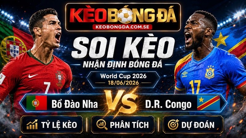 Đội hình dự kiến trước trận Bồ Đào Nha và D.R. Congo Đội hình dự kiến trước trận Bồ Đào Nha và D.R. Congo