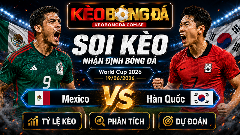 Đội hình dự kiến trước trận Mexico và Hàn Quốc Đội hình dự kiến trước trận Mexico và Hàn Quốc