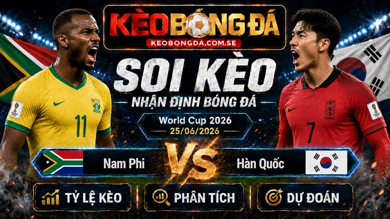 Đội hình dự kiến trước trận Nam Phi và Hàn Quốc Đội hình dự kiến trước trận Nam Phi và Hàn Quốc
