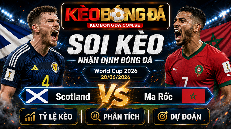 Đội hình dự kiến trước trận Scotland và Ma Rốc Đội hình dự kiến trước trận Scotland và Ma Rốc