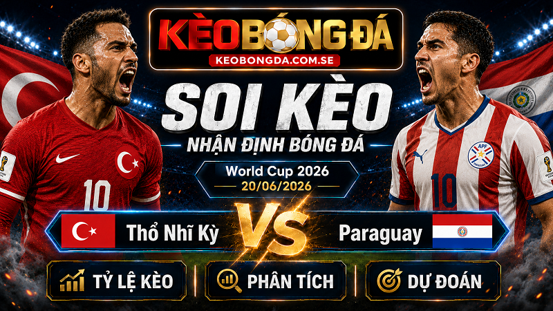 Đội hình dự kiến trước trận Thổ Nhĩ Kỳ và Paraguay Đội hình dự kiến trước trận Thổ Nhĩ Kỳ và Paraguay
