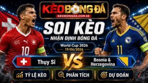 Đội hình dự kiến trước trận Thụy Sĩ và Bosnia & Herzegovina
